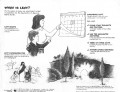 Lent Calendar - Illustrated Lenten Timeline